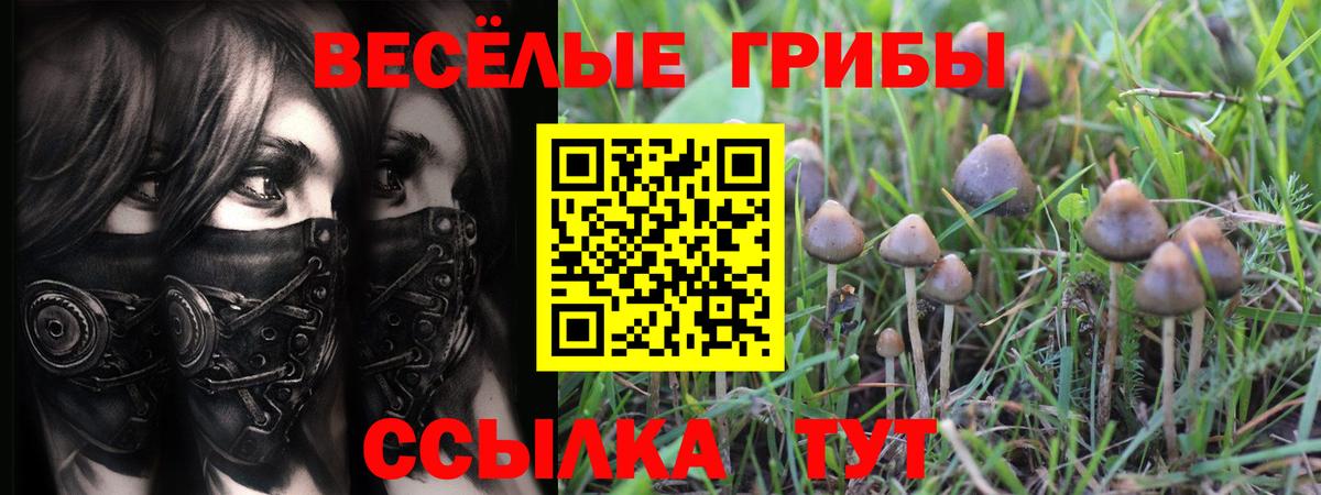 Галлюциногенные грибы ЛСД  Вход с VPN  Невинномысск 