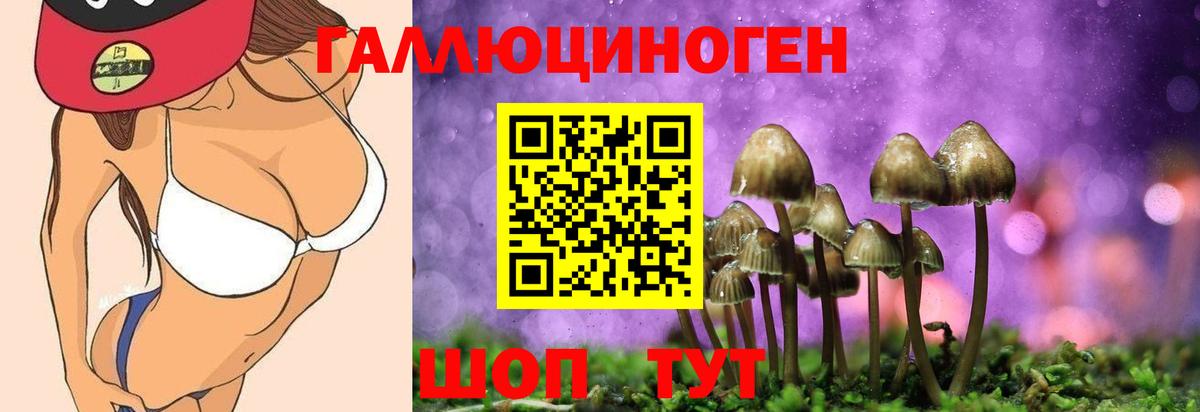 Галлюциногенные грибы прущие грибы Невинномысск